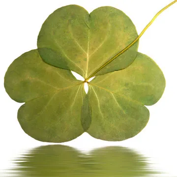 走势图模块预览